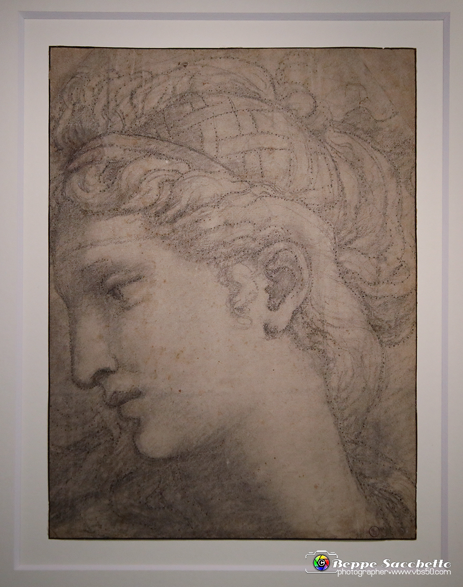 VBS_0021 - Mostra Nel segno di Raffaello.jpg